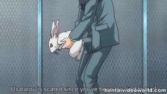 Big stick in anime school girls ass - wankoz.com